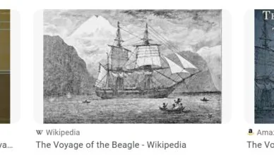 The Voyage of the Beagle by Charles Darwin - Summary and Review