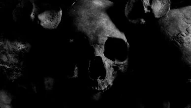 thrilling mystery with unexpected twists