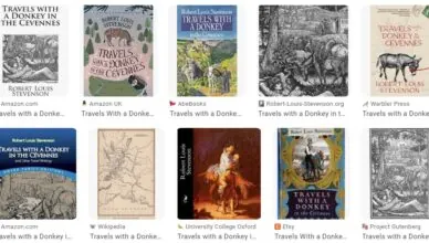 Travels With a Donkey in the Cévennes by Robert Louis Stevenson - Summary and Review