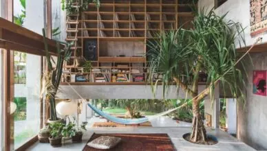 Tropical Style Interior Door
