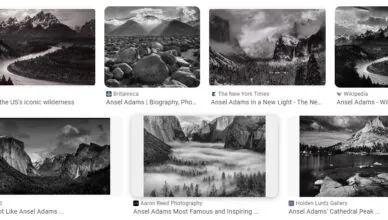 Understanding Photography by Ansel Adams - Summary and Review