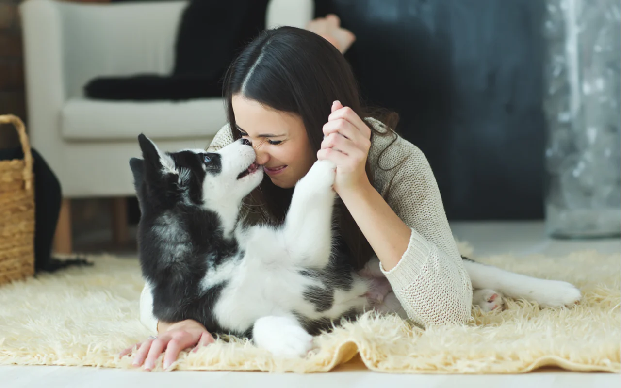 Pet Improve Mental Health