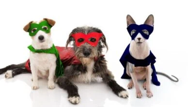 Pet Helps Save Lives