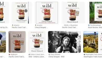 Wild: From Lost to Found on the Pacific Crest Trail by Cheryl Strayed - Summary and Review