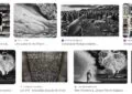 Windows on the World by Sebastião Salgado - Summary and Review 5 Windows on the World by Sebastião Salgado – Summary and Review