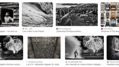 Windows on the World by Sebastião Salgado - Summary and Review