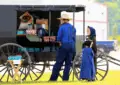 Why Is Medicaid Expansion Crucial for Amish Communities 5 Why Is Medicaid Expansion Crucial for Amish Communities