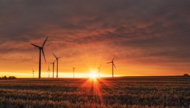 windmill on grass field during golden hour