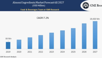 gmi research