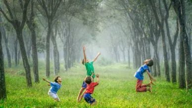 four boy playing ball on green grass