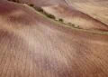 The Importance Of Crop Rotation: Preventing Soil Nutrient Depletion And Disease 3 The Importance Of Crop Rotation: Preventing Soil Nutrient Depletion And Disease