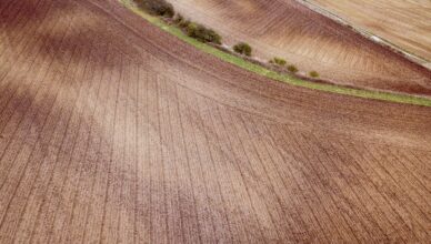 aerial photography of field