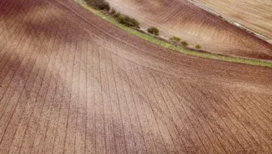 aerial photography of field