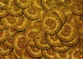 Complete Guide to Initial Coin Offerings (ICOs) in Cryptocurrency 6 Complete Guide to Initial Coin Offerings (ICOs) in Cryptocurrency