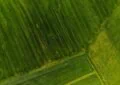 Why Crop Rotation Is Beneficial For Pest Management And How To Rotate Your Crops 2 Why Crop Rotation Is Beneficial For Pest Management And How To Rotate Your Crops