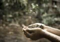 Why Soil Amendments Are Important For Soil Health And How To Add Amendments To Your Garden 3 Why Soil Amendments Are Important For Soil Health And How To Add Amendments To Your Garden