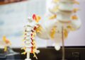 Why Is Posture Important For Your Overall Well-Being And How To Improve Your Posture?