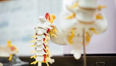 Why Is Posture Important For Your Overall Well-Being And How To Improve Your Posture?