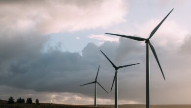 Why Is Wind Energy A Sustainable Choice For Future Generations?