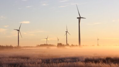 What Is The Role Of Wind Energy In Energy Transition And Climate Resilience?
