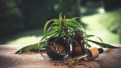 What Is The Entourage Effect And How Does It Relate To Cbd?
