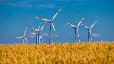 What Is The Role Of Government Policies And Incentives In Wind Energy Adoption?