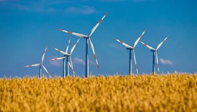 What Is The Role Of Government Policies And Incentives In Wind Energy Adoption?