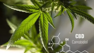 What Is The Difference Between Cbd Capsules And Cbd Softgels?
