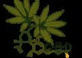 Why Is Cbd Believed To Have Neuroprotective Properties? 3 Why Is Cbd Believed To Have Neuroprotective Properties?