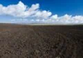 Why Proper Soil Preparation Is Key For Successful Gardening And How To Do It 3 Why Proper Soil Preparation Is Key For Successful Gardening And How To Do It