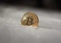 Navigating Through Crypto Winter: Understanding Major Cryptocurrency Downturns 4 Navigating Through Crypto Winter: Understanding Major Cryptocurrency Downturns