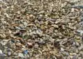 Why Mulching Is Important For Your Garden And How To Properly Mulch 3 Why Mulching Is Important For Your Garden And How To Properly Mulch