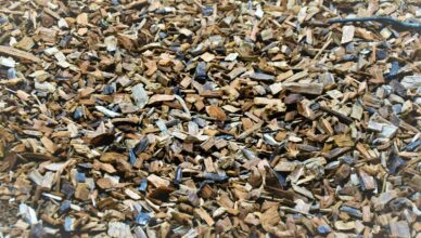 Why Mulching Is Important For Your Garden And How To Properly Mulch