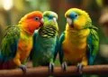 The Enchanting World of Dwarf Parrots: an Insight Into Lovebirds and Budgerigars 5 The Enchanting World of Dwarf Parrots: an Insight Into Lovebirds and Budgerigars