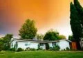 Incorporating Native Trees And Shrubs In Your Landscape Design 2 Incorporating Native Trees And Shrubs In Your Landscape Design