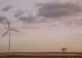 What Is Wind Energy’s Impact On Wildlife And Ecosystems?