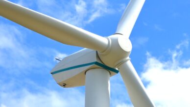 What Is The Environmental Impact Of Wind Energy Generation?