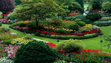 Why Planning Your Garden Layout Is Crucial For Success And How To Design Your Garden Space