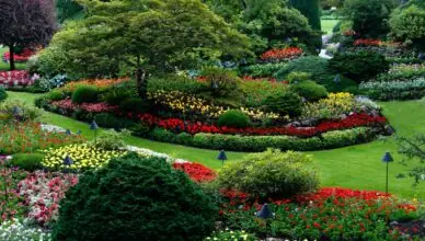 Why Planning Your Garden Layout Is Crucial For Success And How To Design Your Garden Space