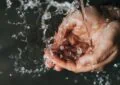 Why Is Proper Hygiene Important For Disease Prevention And How To Maintain Good Hygiene Practices? 3 Why Is Proper Hygiene Important For Disease Prevention And How To Maintain Good Hygiene Practices?