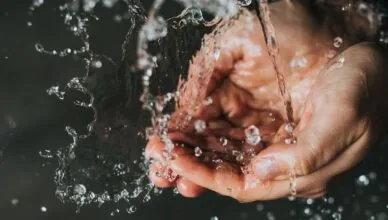 Why Is Proper Hygiene Important For Disease Prevention And How To Maintain Good Hygiene Practices?