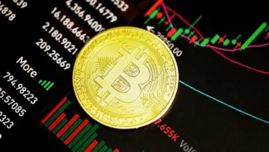 Rise of Privacy Coins in Cryptocurrency: Understanding Anonymous Digital Currencies