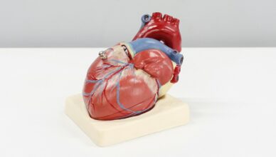What Is Cardiovascular Disease And How To Reduce Your Risk Through Lifestyle Choices?