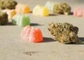 How To Properly Dose Cbd Edibles And Beverages? 3 How To Properly Dose Cbd Edibles And Beverages?