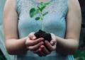 The Importance Of Soil Testing: Understanding And Balancing Soil Nutrients 5 The Importance Of Soil Testing: Understanding And Balancing Soil Nutrients