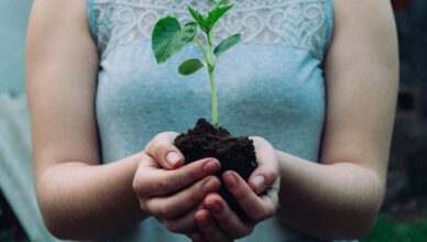 The Importance Of Soil Testing: Understanding And Balancing Soil Nutrients