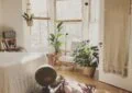 How To Create A Peaceful And Harmonious Home Environment? 2 How To Create A Peaceful And Harmonious Home Environment?