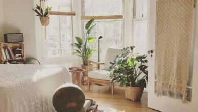 How To Create A Peaceful And Harmonious Home Environment?