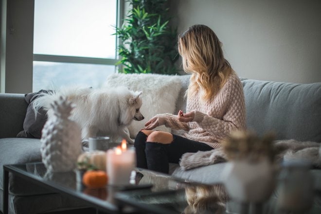 What Is The Impact Of Pet Ownership On Family Life And Well-Being?