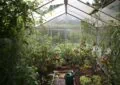 Why Protecting Plants From Frost Is Essential And How To Prevent Frost Damage 3 Why Protecting Plants From Frost Is Essential And How To Prevent Frost Damage